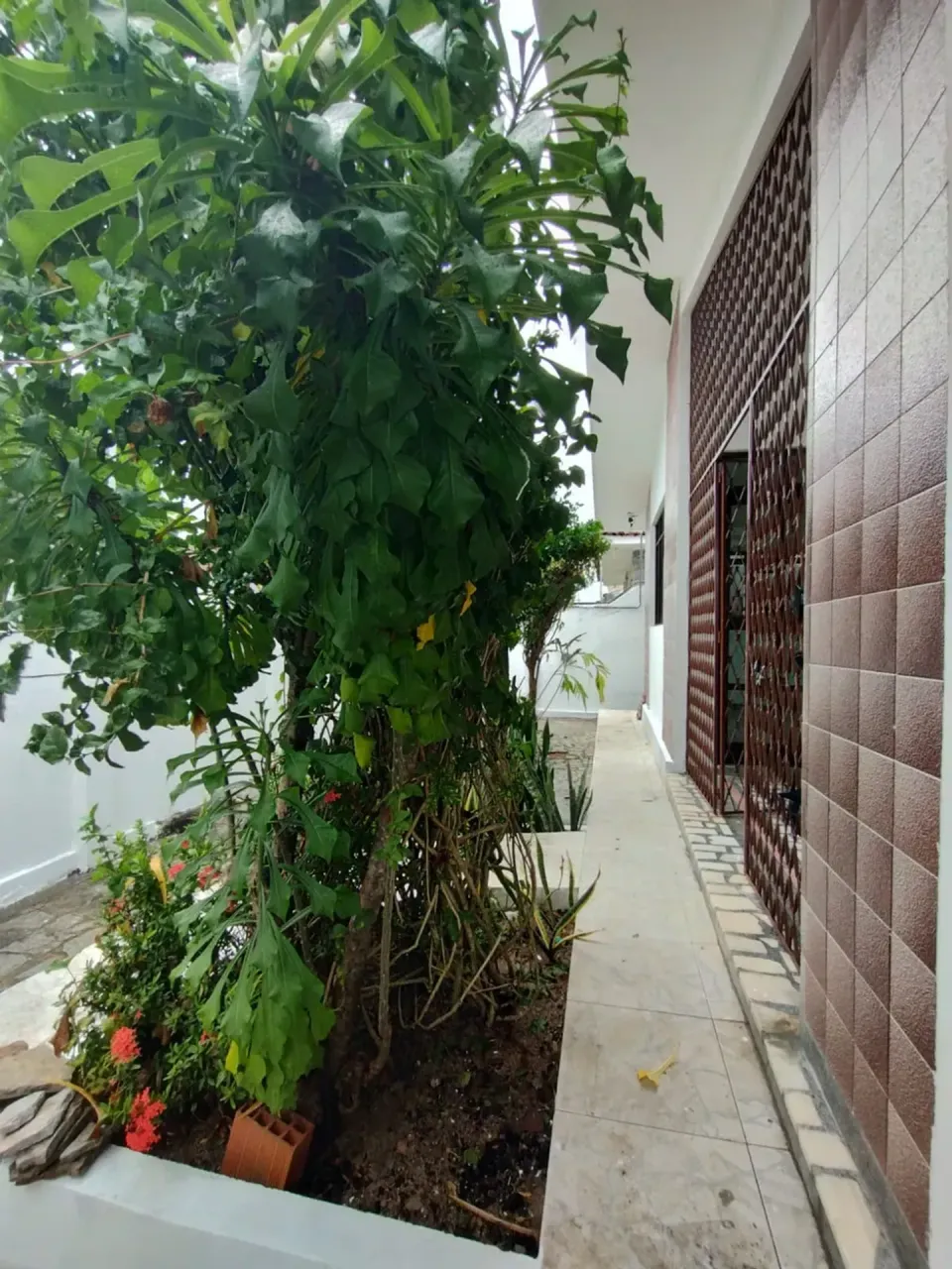 Дом: 4 спальни, 200 м² — photo 13