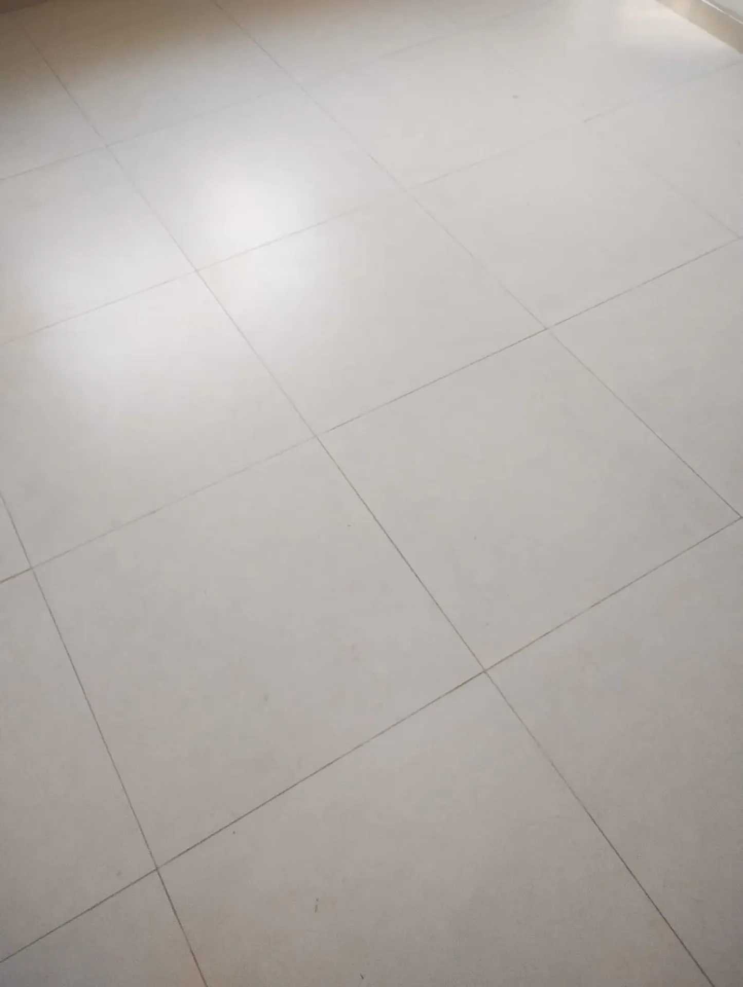 Apartamento para locação com 2 quartos e 1 vaga — photo 30