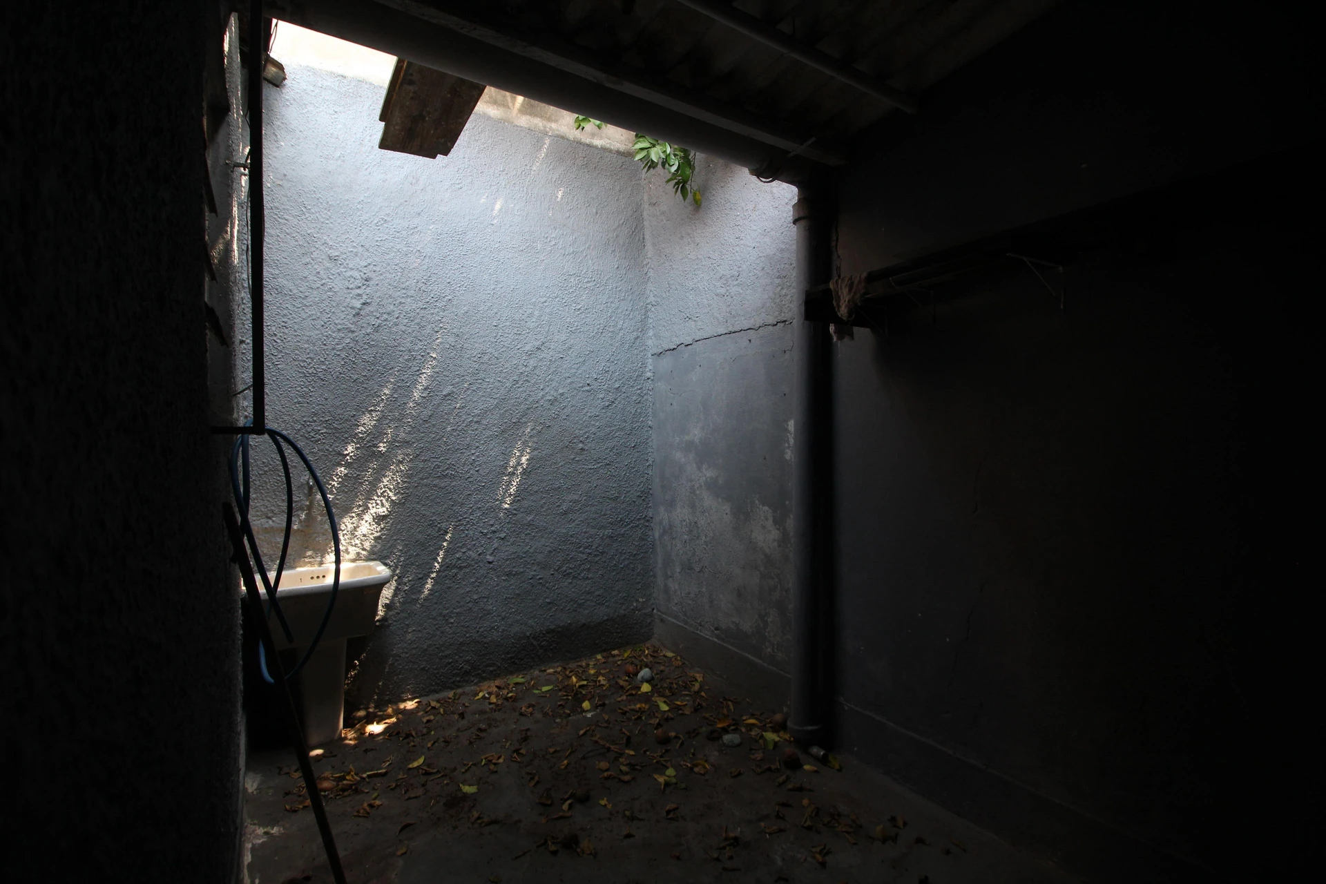 One-bedroom house with a garden — photo 12