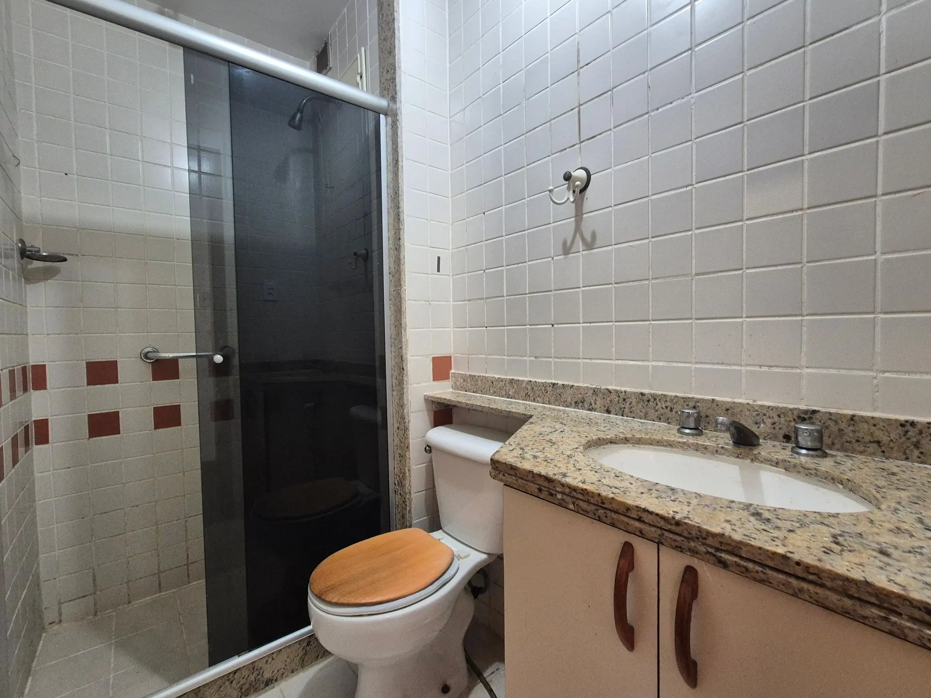 Apartamento com 2 quartos, suíte e varanda com animais — photo 33