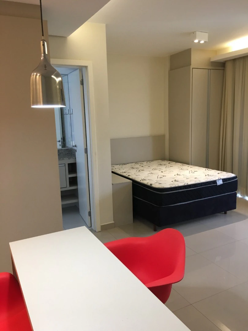 Furnished studio with open-plan kitchen and washing machine — photo 15