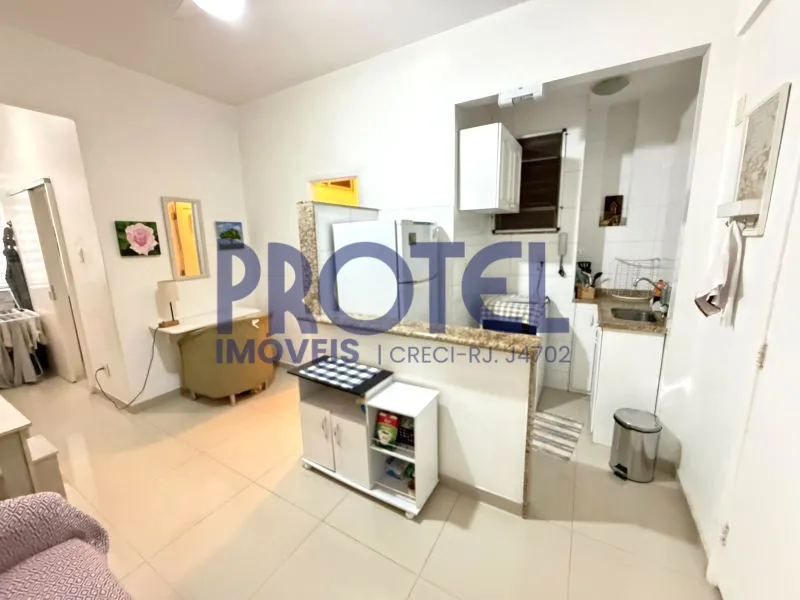Furnished 1-bedroom apartment with a compact gas kitchenette — photo 3
