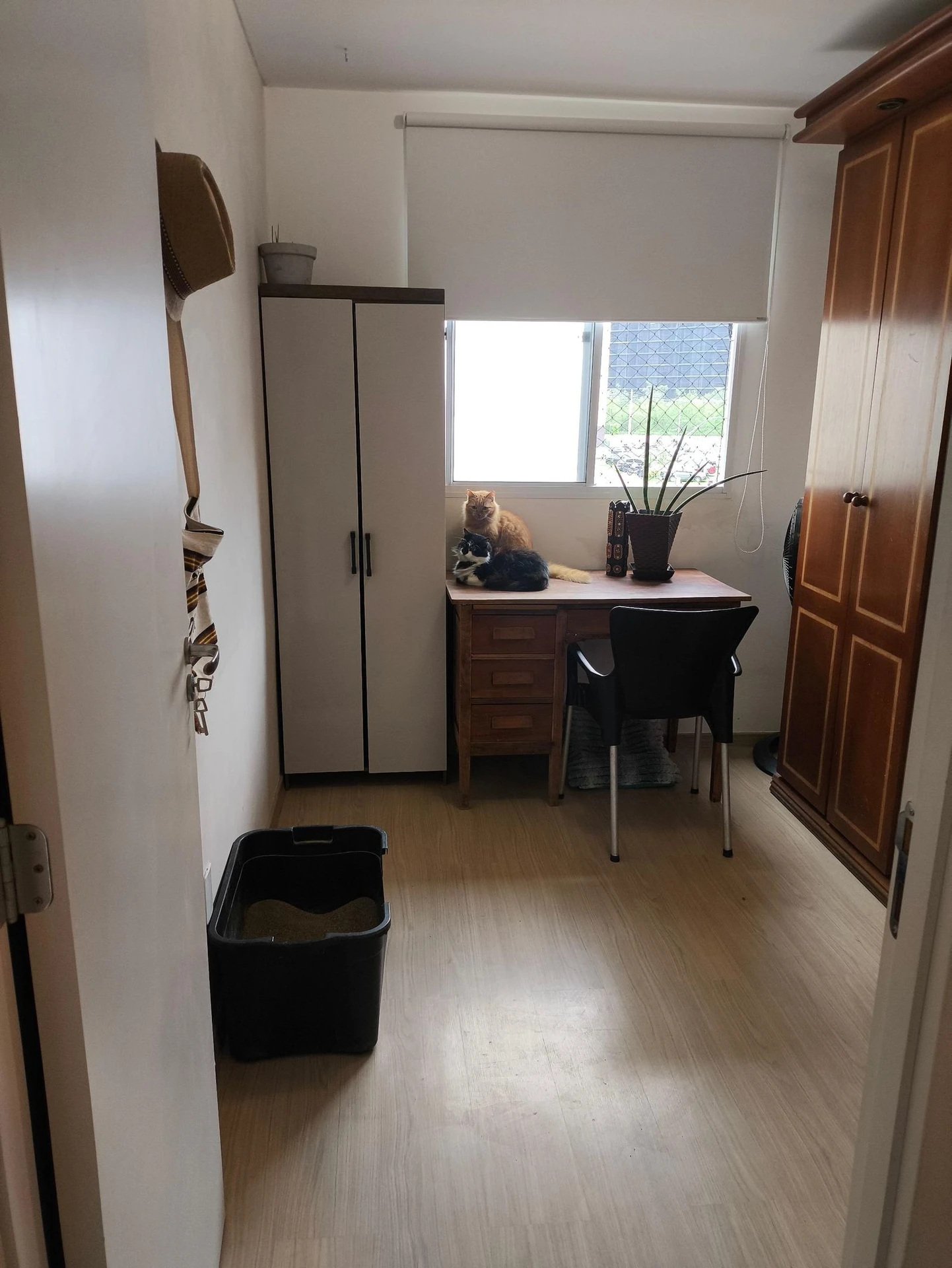 Apartamento mobiliado com 2 quartos e cozinha integrada — photo 2