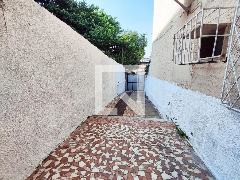 Garden in a 3-bedroom house, 150 m² — photo 9