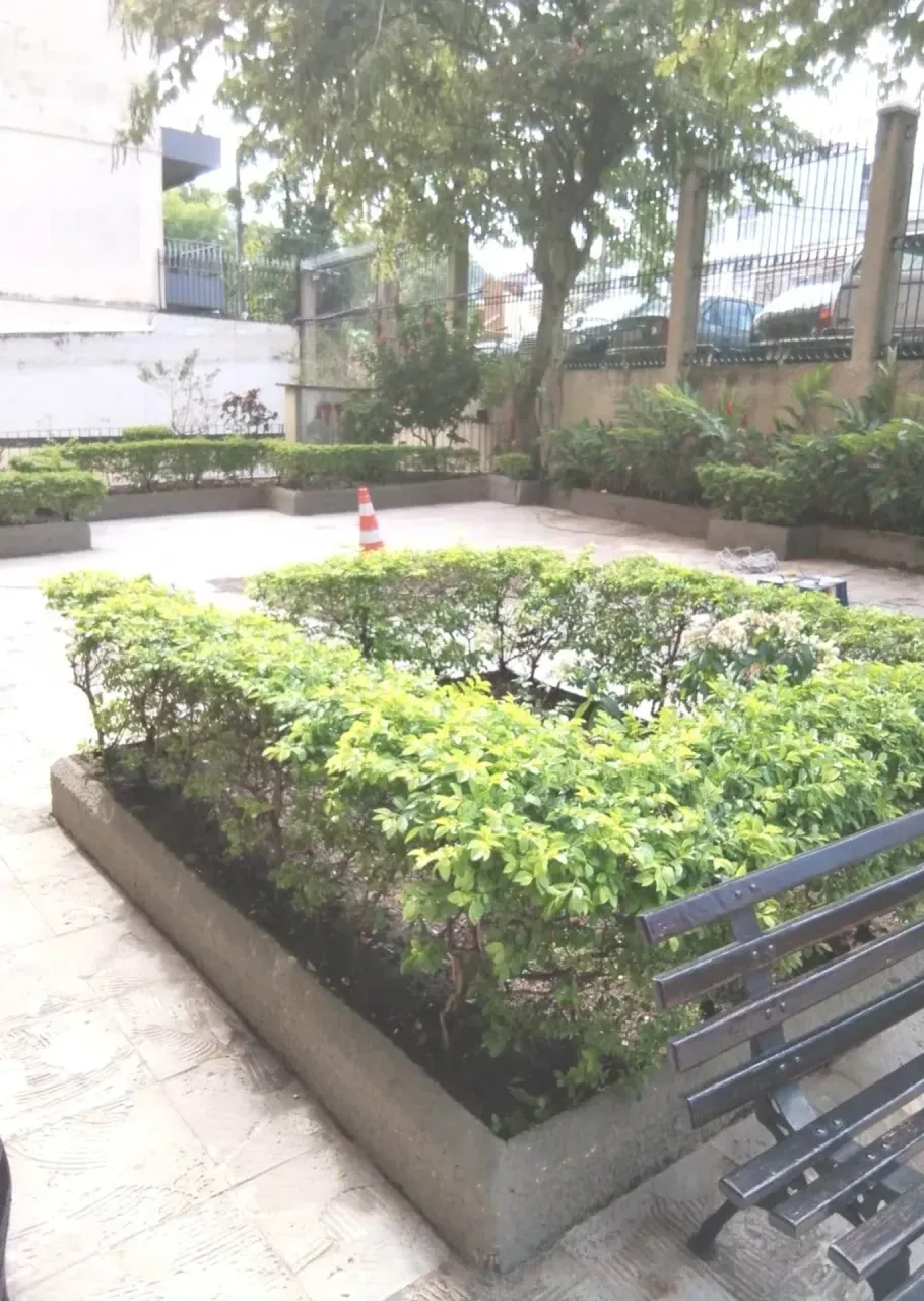 3-bedroom apartment with 1 bathroom, no parking — photo 20