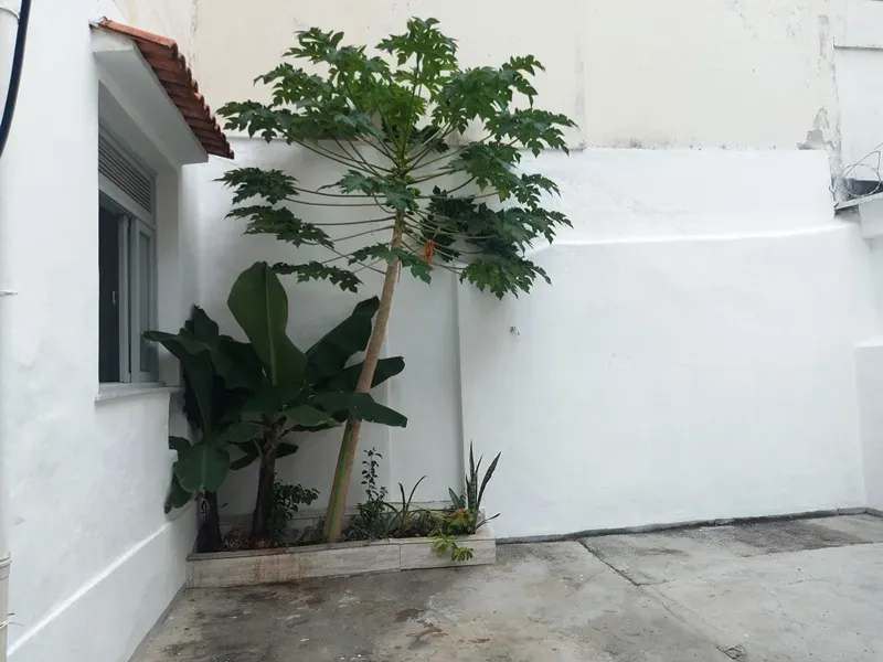 3-bedroom house, 76 m² — photo 23