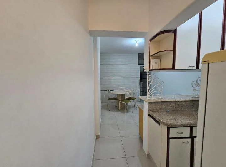 Furnished 1-bedroom apartment with a gas kitchen