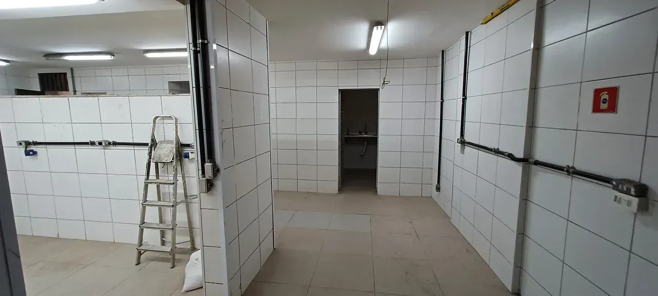 Unfurnished house with 3 bedrooms and 3 bathrooms — photo 14