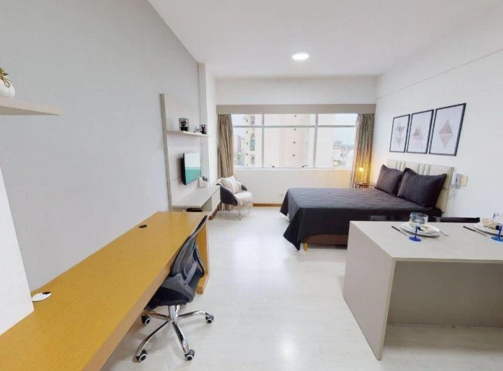 Apartamento mobiliado de 1 quarto com 30 m² e 1 banheiro — photo 6