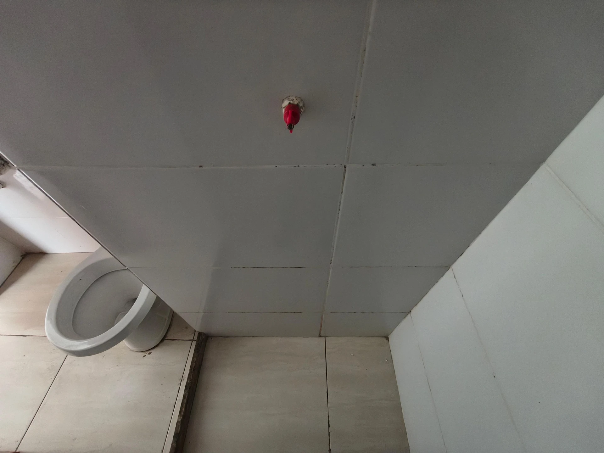 Casa, 60 m², com jardim — photo 33