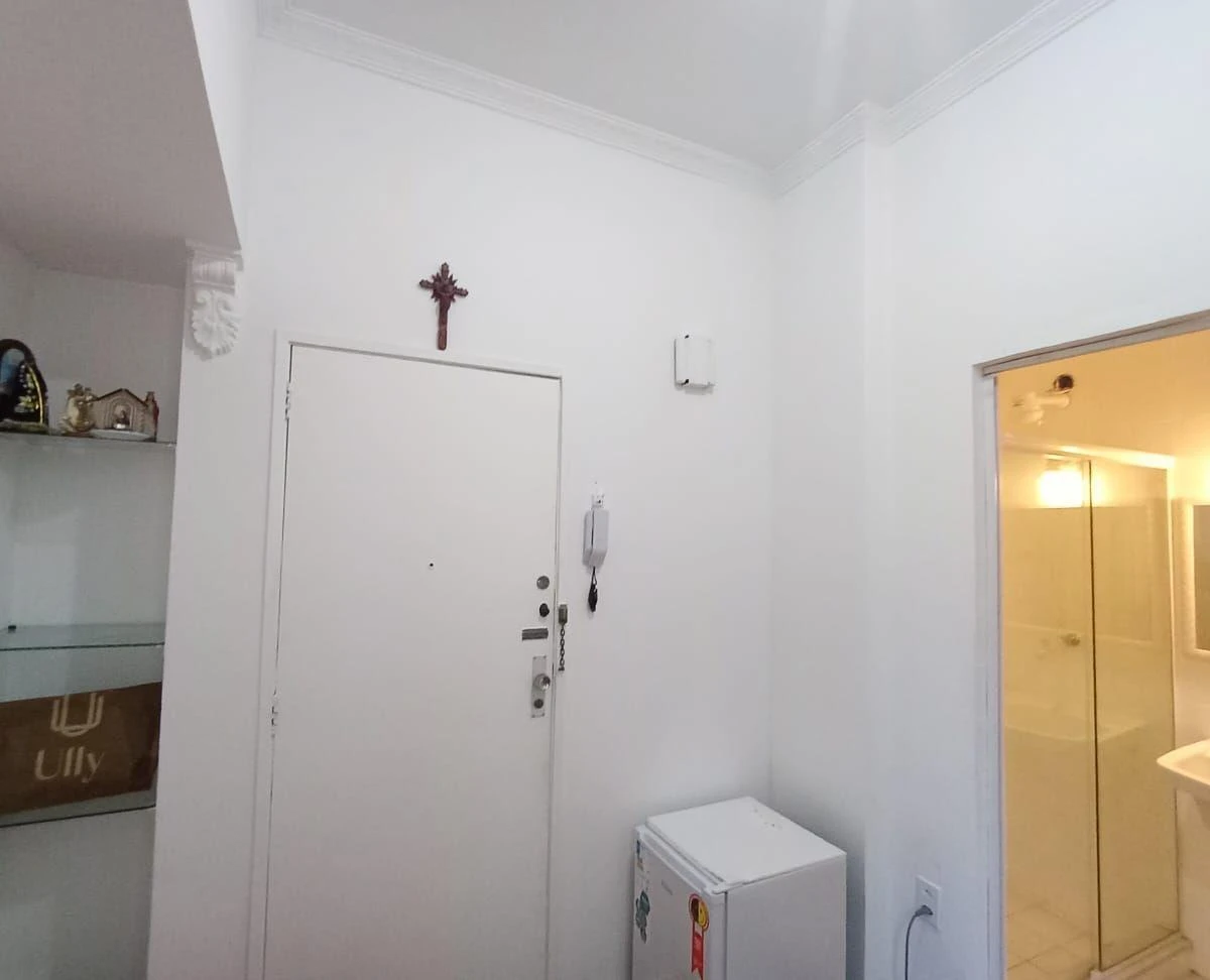 One-bedroom apartment with wood or laminate floors — photo 9