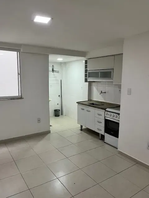 1-bedroom apartment with gas kitchenette and 1 bathroom — photo 2