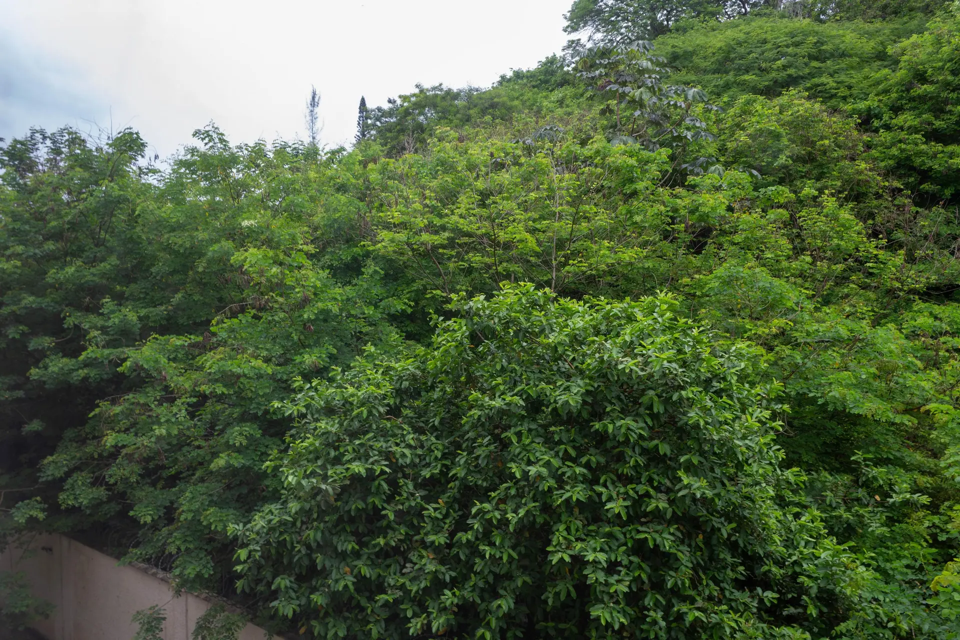 2-bedroom apartment with a park view — photo 9