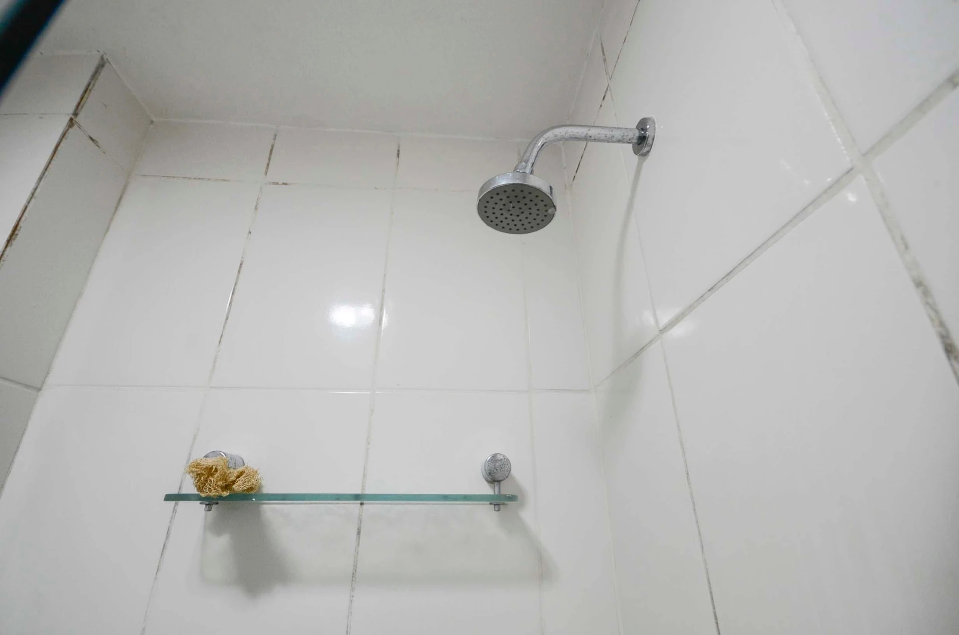 Apartamento para locação com 3 quartos e 1 vaga — photo 24