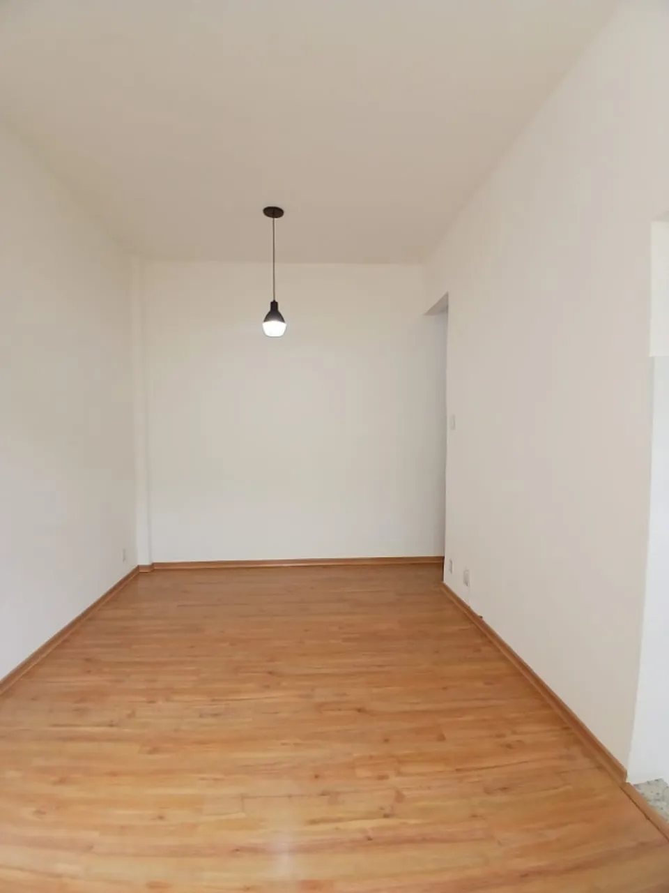 Monoambiente, 38 m², con piso de madera o laminado — photo 8
