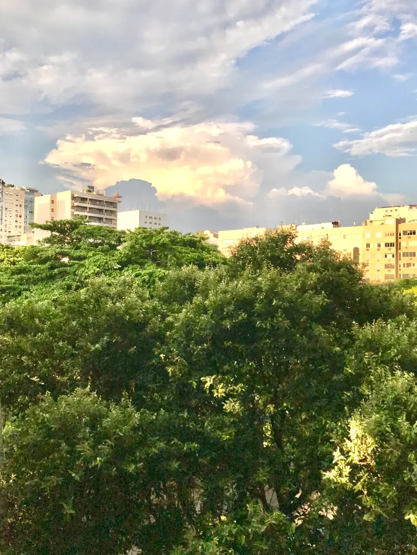Орендна квартира 165 м² з 3 спальнями і 2 ванними — photo 19