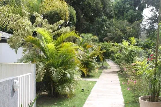 Casa mobiliada com 1 quarto e jardim privativo — photo 15
