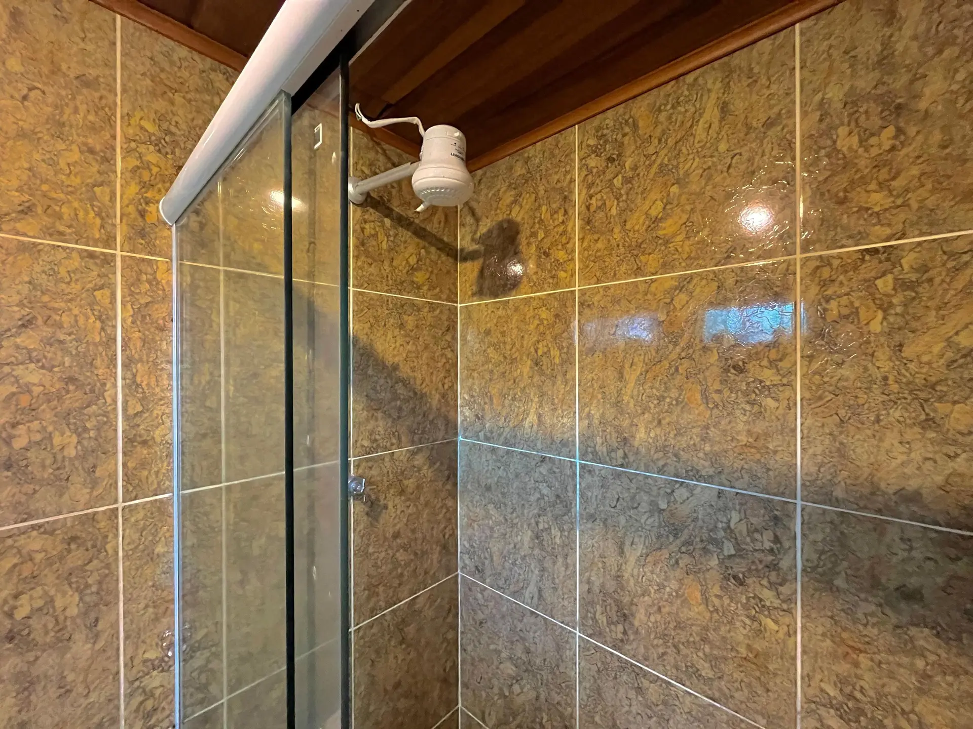 Ванна та 4 спальні: будинок 350 м² — photo 6