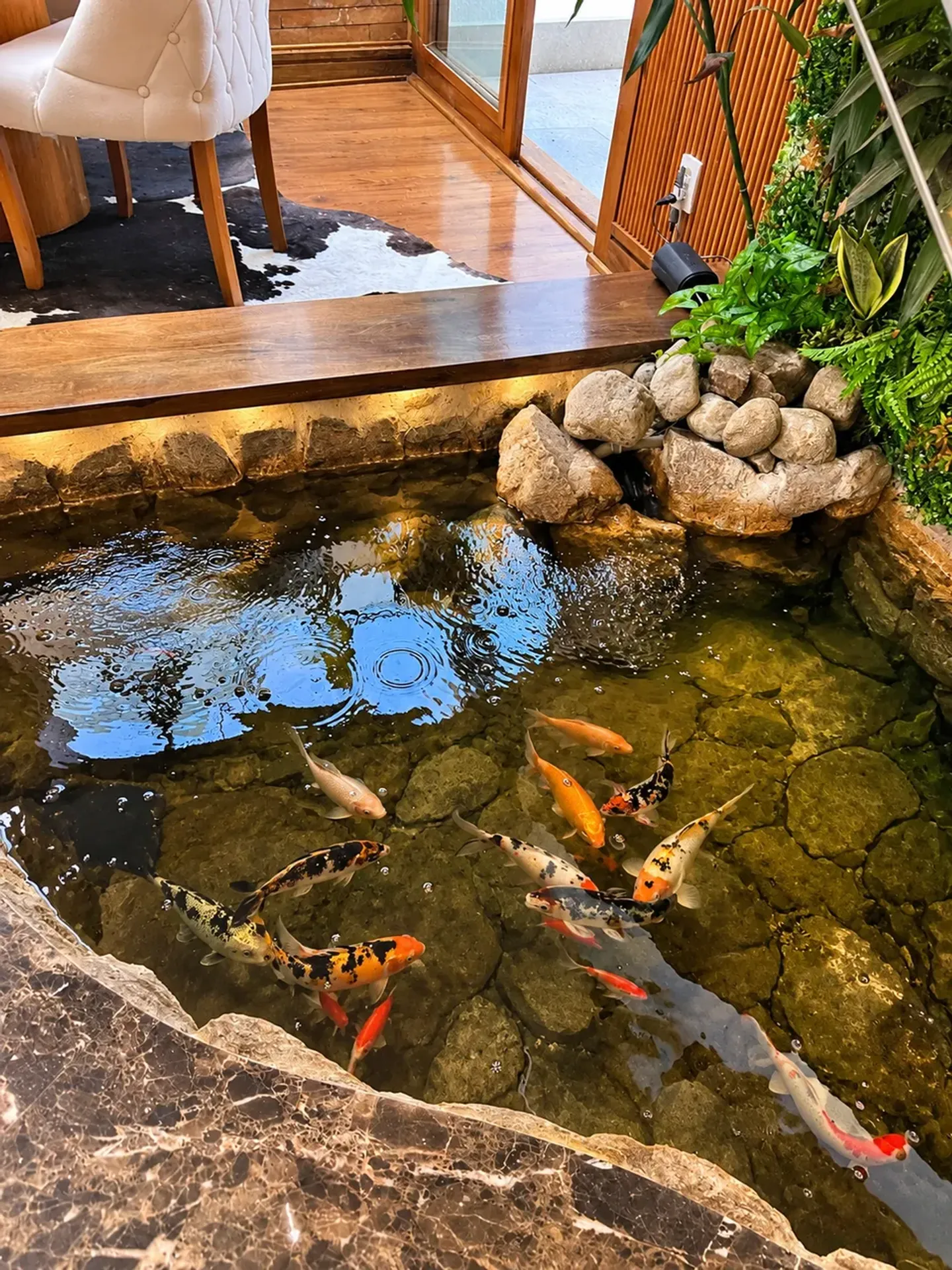 Casa de 5 dormitorios con balcón gourmet — photo 13