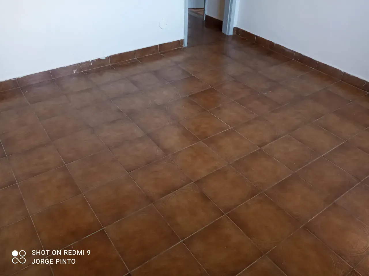 Single-story house for rent with 2 bedrooms and 4 parking spots — photo 4