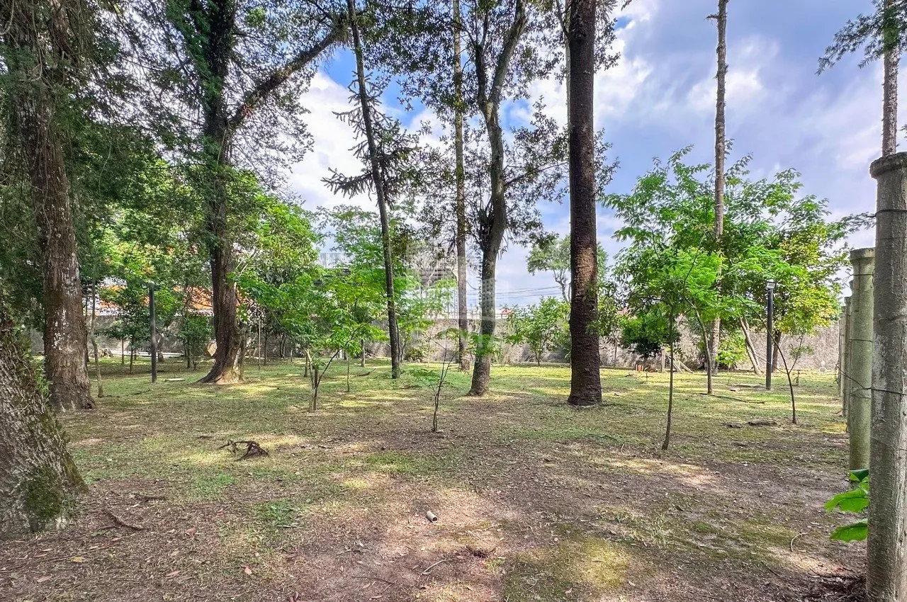 3-bedroom apartment with a private BBQ in Curitiba — photo 48