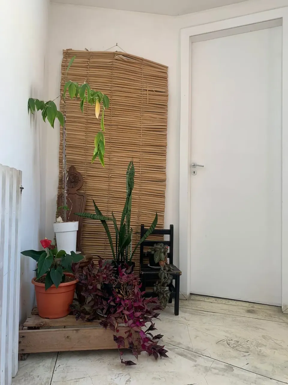 Casa com 4 dormitórios e 5 banheiros, com 3 vagas — photo 19