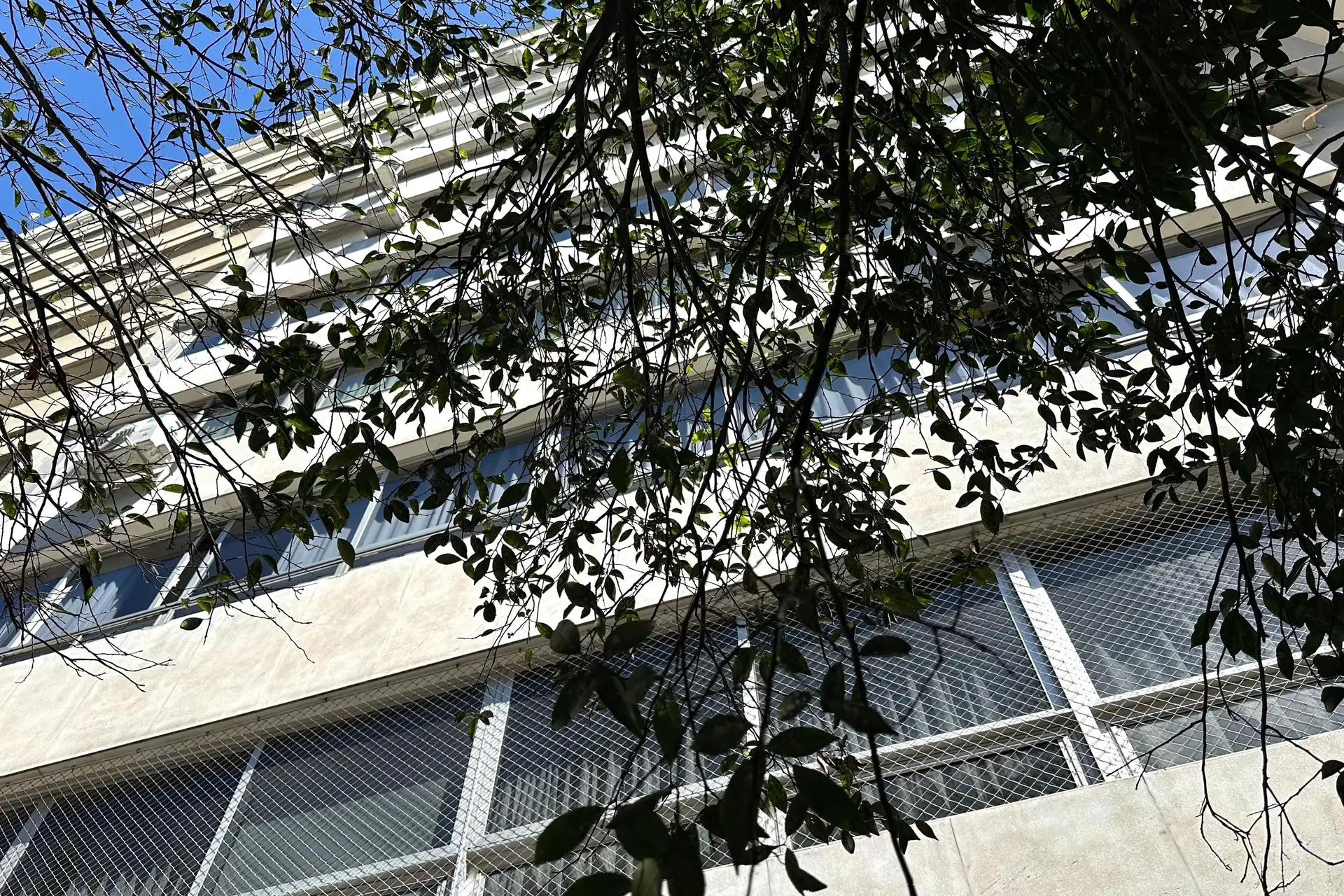 Квартира без меблів з 3 спальнями та 3 ванними кімнатами — photo 40