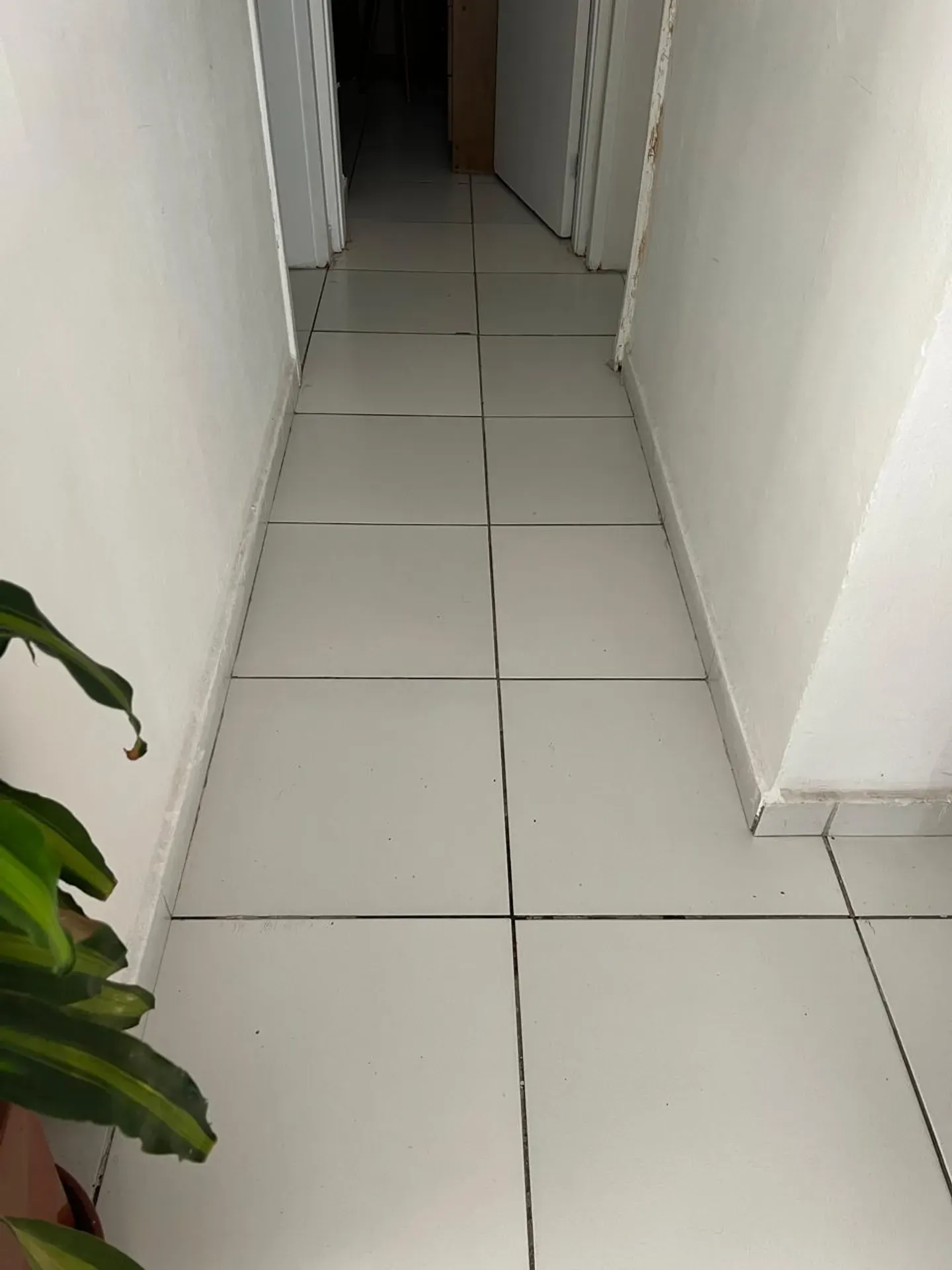 Apartamento mobiliado de 2 quartos em condomínio com piscina — photo 10