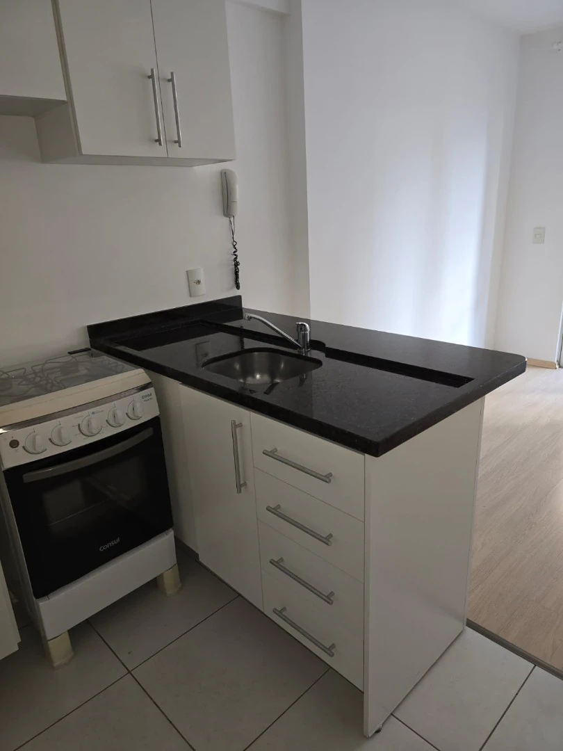 1-bedroom apartment with a compact gas kitchenette — photo 2