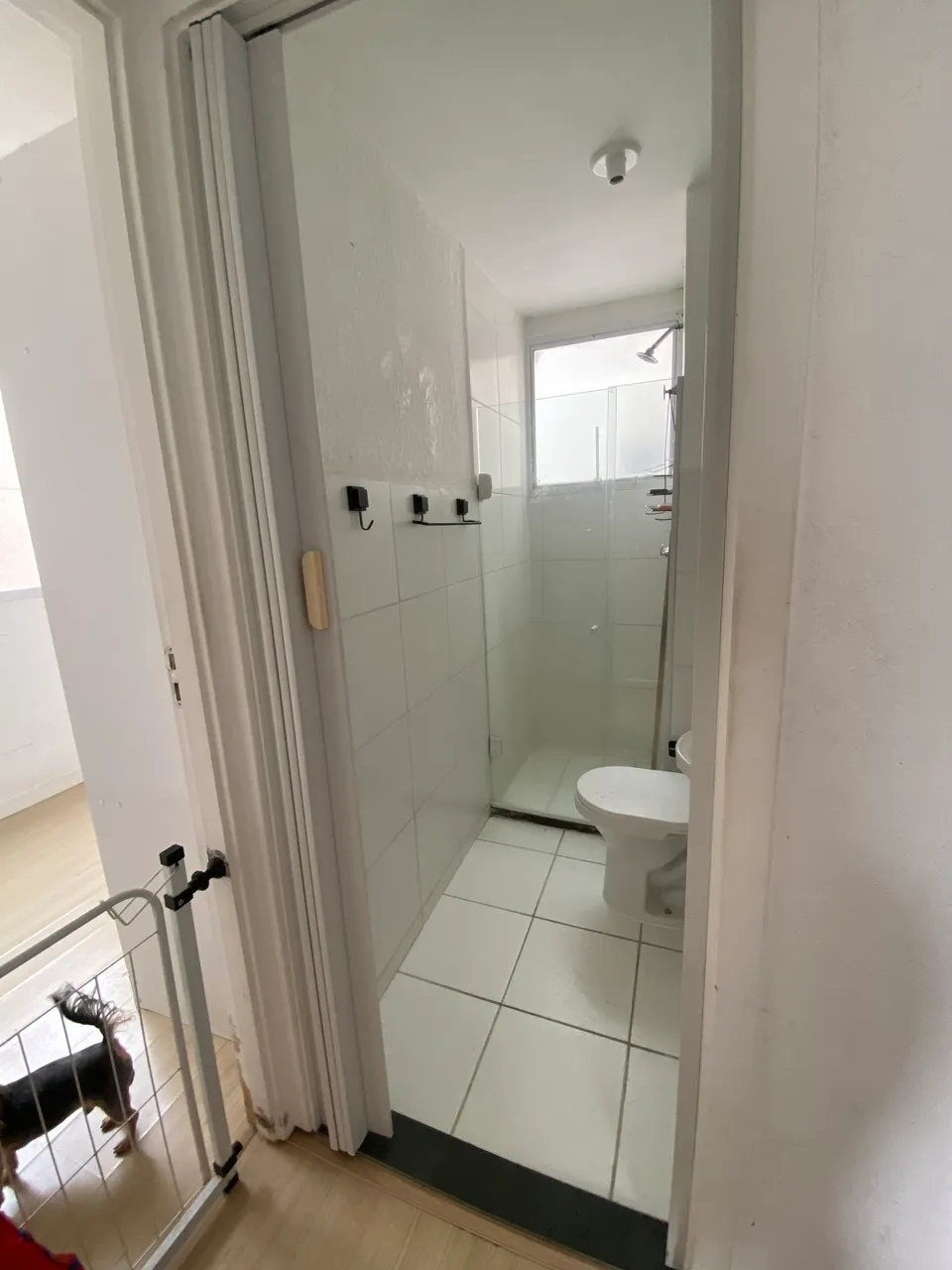 Apartamento para alugar com cozinha separada e 2 quartos — photo 15