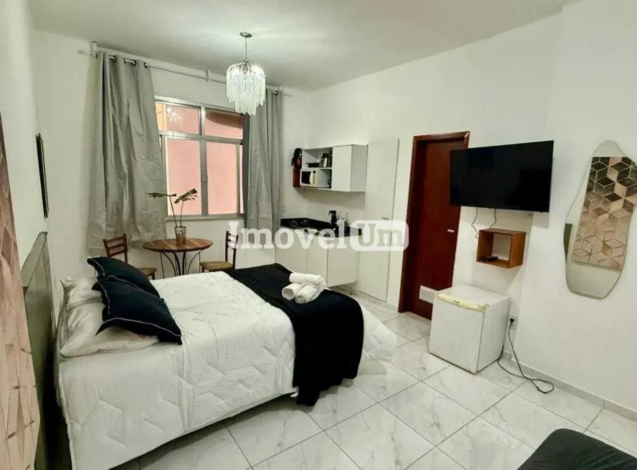 Furnished 1-bedroom apartment with compact kitchenette — photo 6