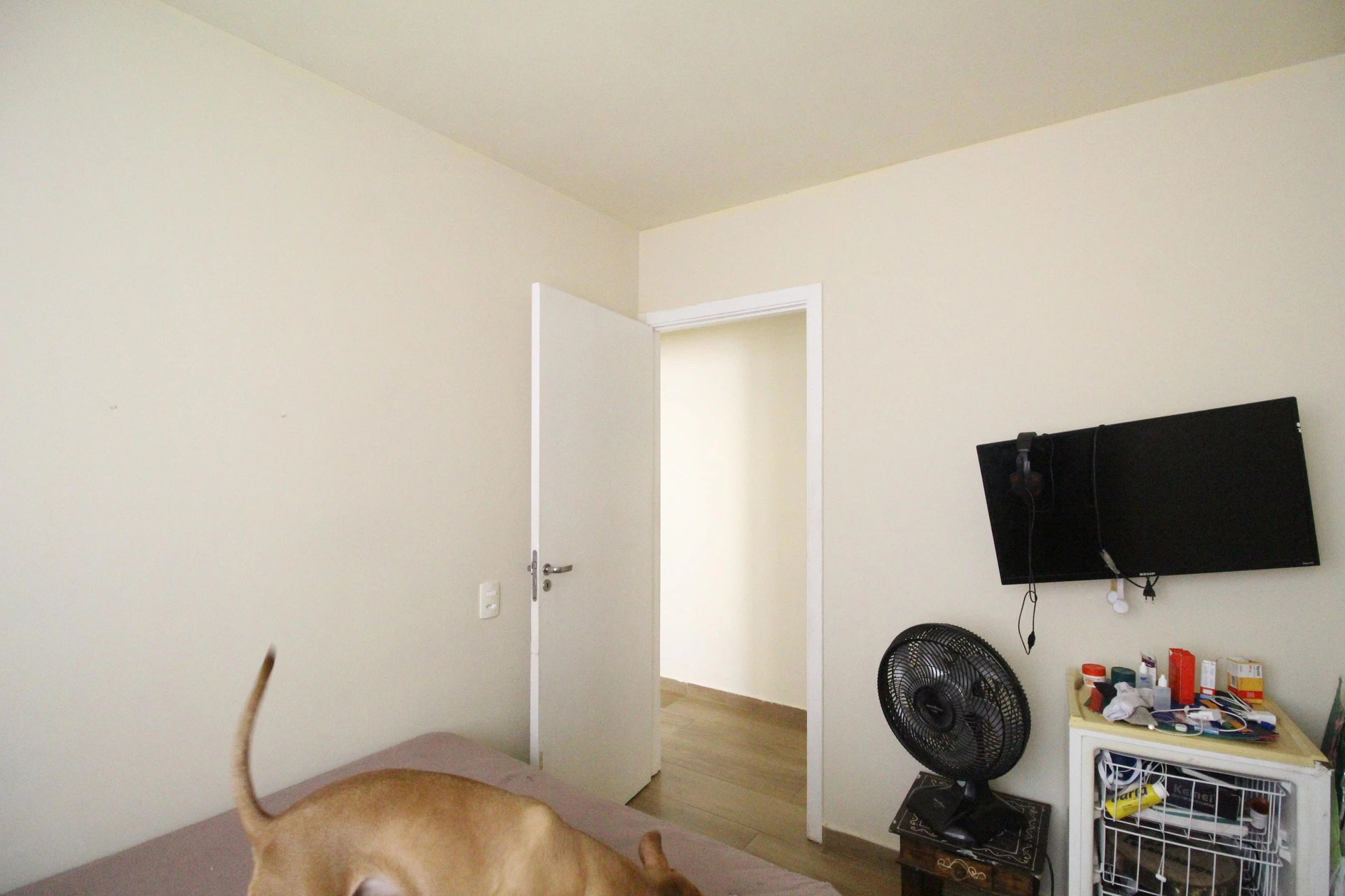 2-bedroom apartment with a home office in Rio de Janeiro — photo 17