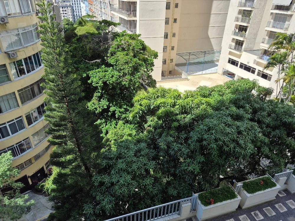 3-bedroom apartment with a mountain view in Rio de Janeiro — photo 3