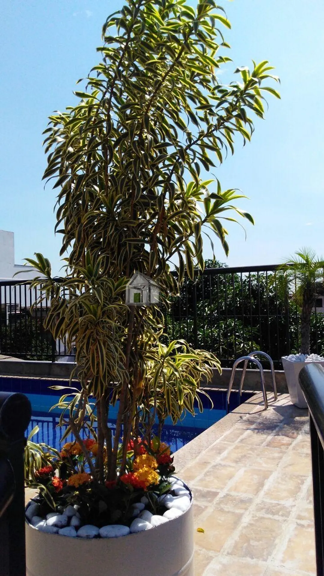 House, 482 m², with a bathtub — photo 31