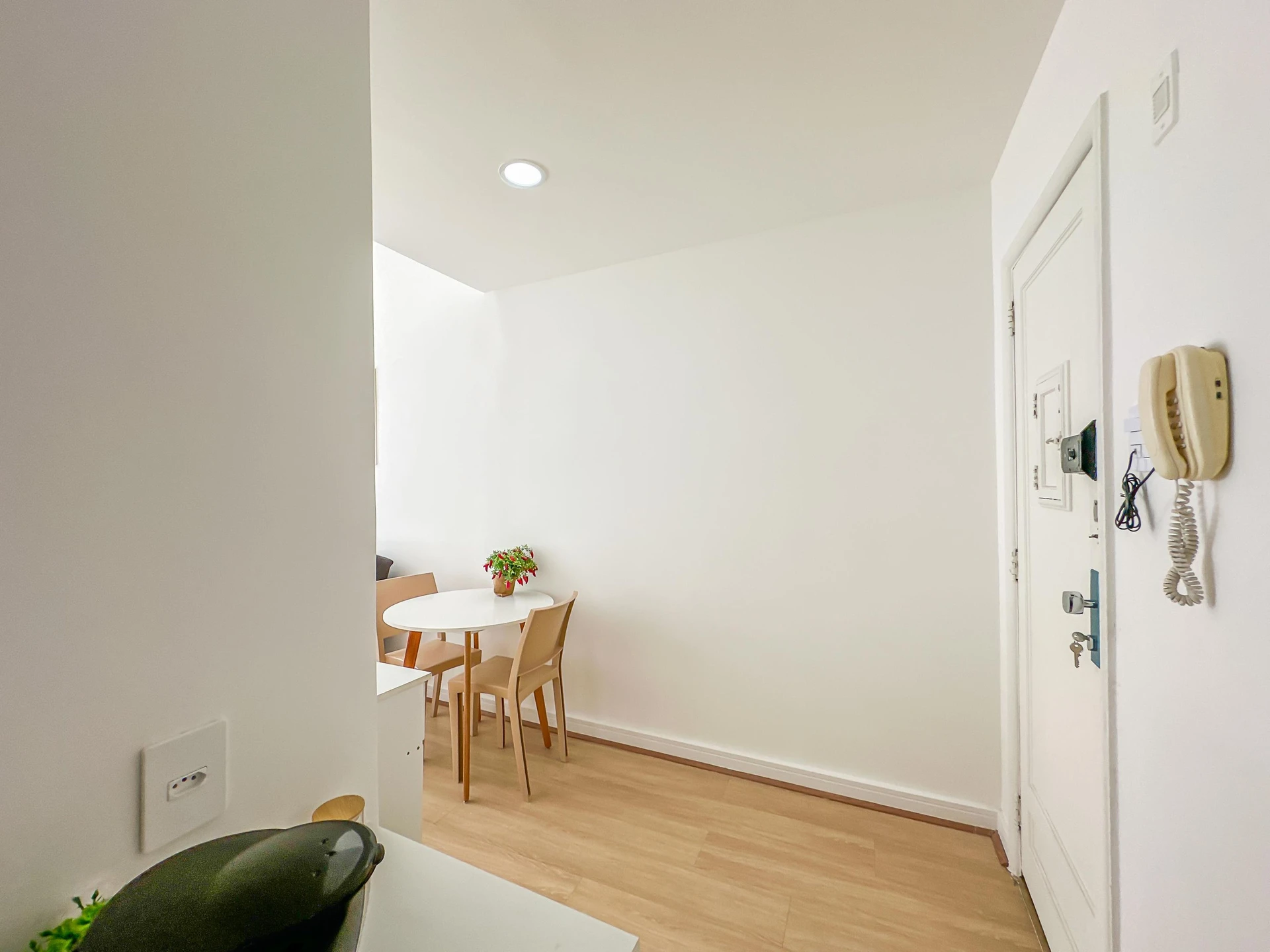 Furnished studio, 30 m², with wood or laminate floors — photo 16