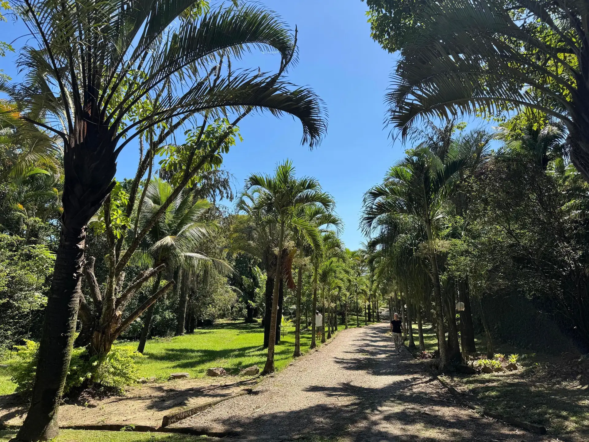 Casa para locação com 3 suítes e jardim privativo — photo 17