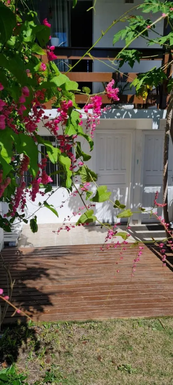 Apartamento mobiliado de 35 m² e 1 quarto, Campeche — photo 15