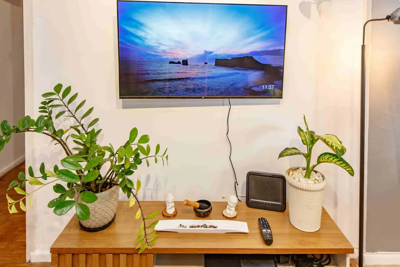 3-bedroom apartment with a dryer in Rio de Janeiro — photo 6