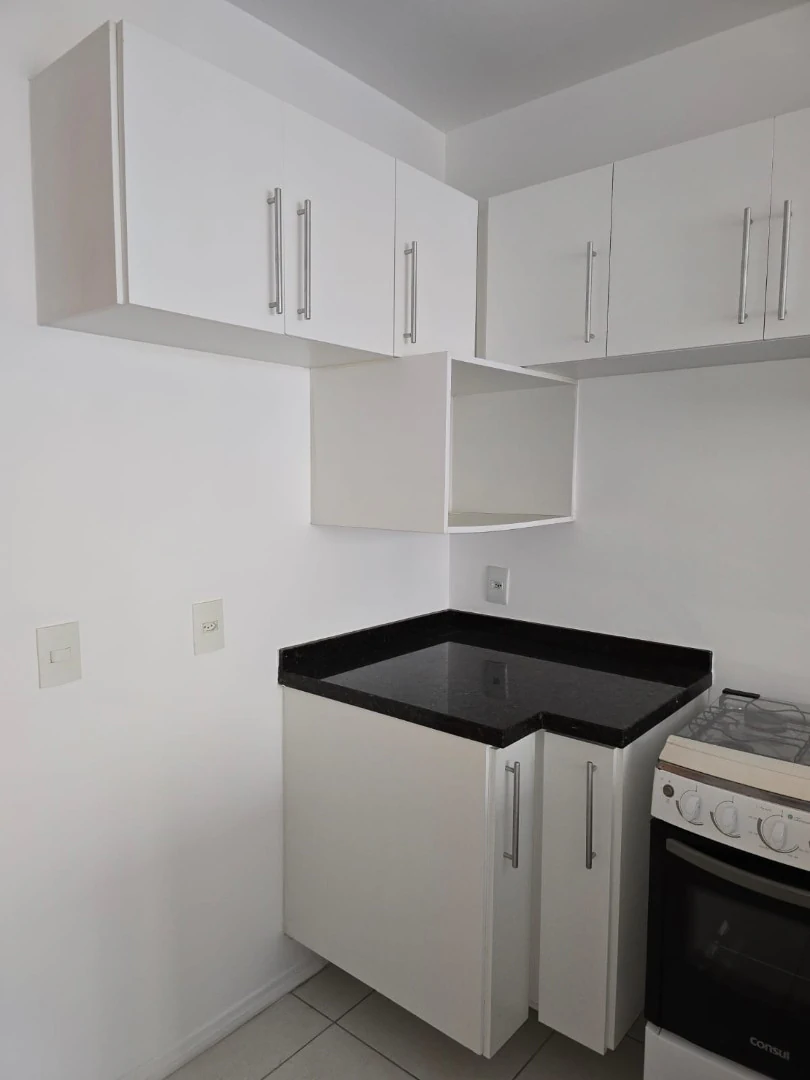 1-bedroom apartment with a compact gas kitchenette — photo 3
