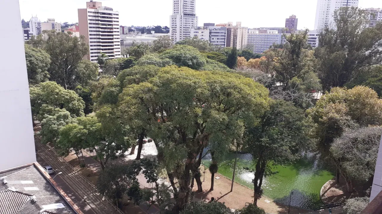 Furnished apartment, 20 m², with a park view — photo 8
