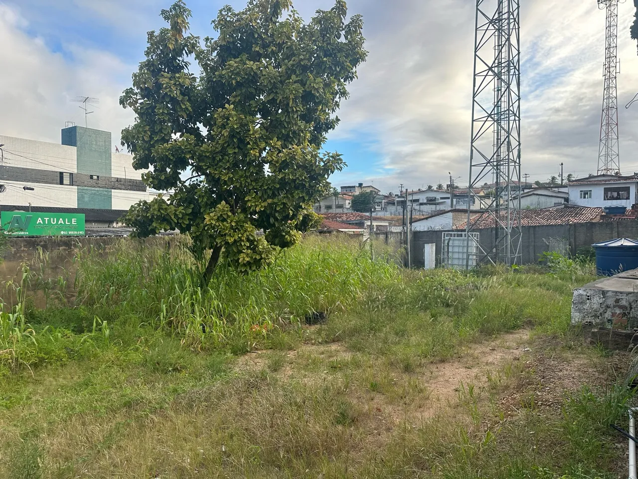 2-bedroom house, 300 m² — photo 2