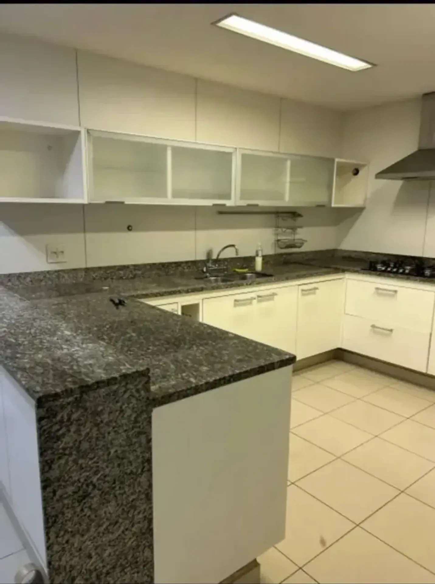 Apartamento com 4 quartos e 5 banheiros, fogão a gás — photo 18
