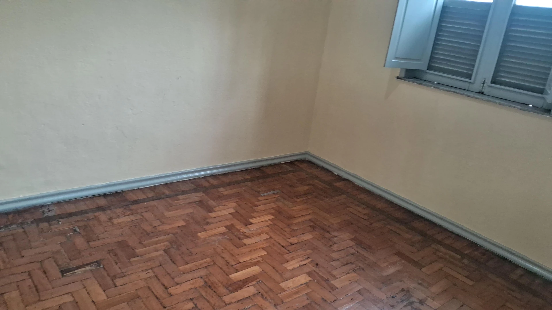 2-bedroom apartment with wood or laminate floors — photo 11