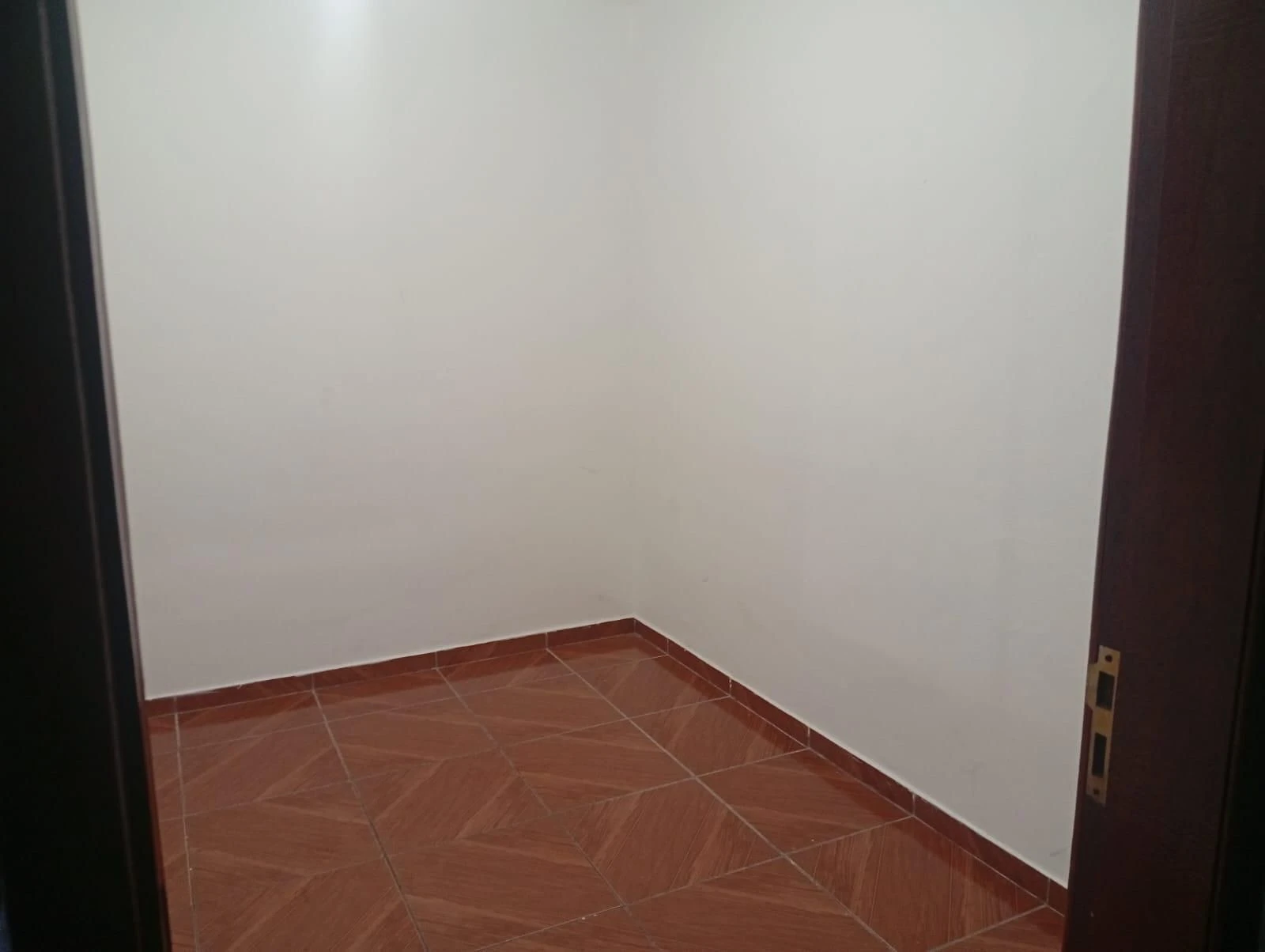 Незамебльований студіо з 1 спальнею та електричним душем — photo 6