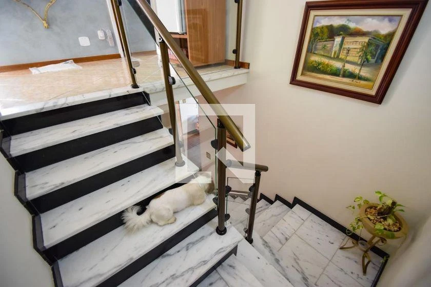 Rental house with 6 bedrooms and 260 m² total area — photo 44