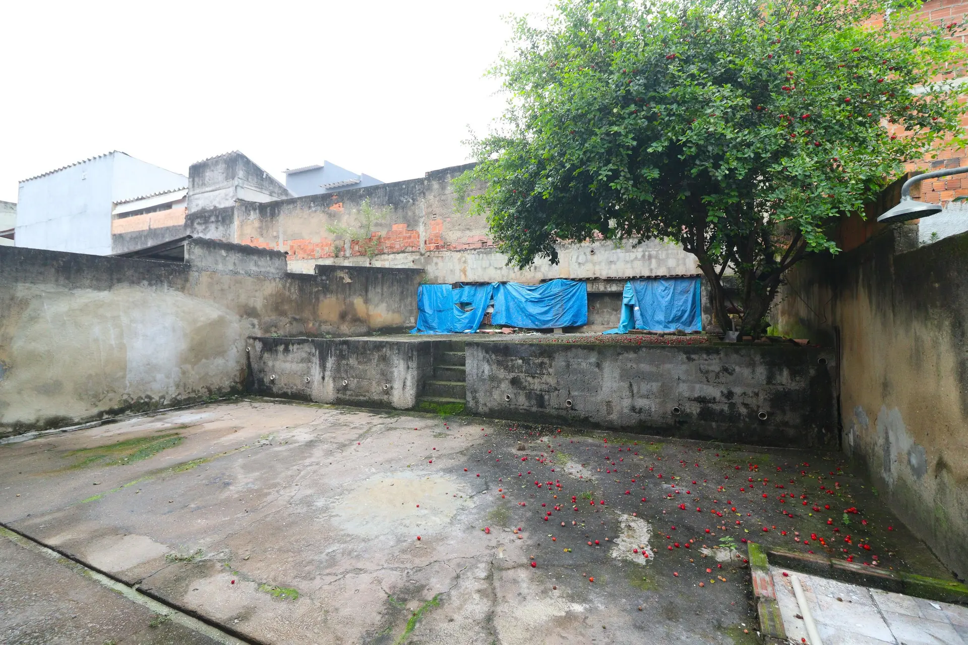3-bedroom house with a garden in Rio de Janeiro — photo 11