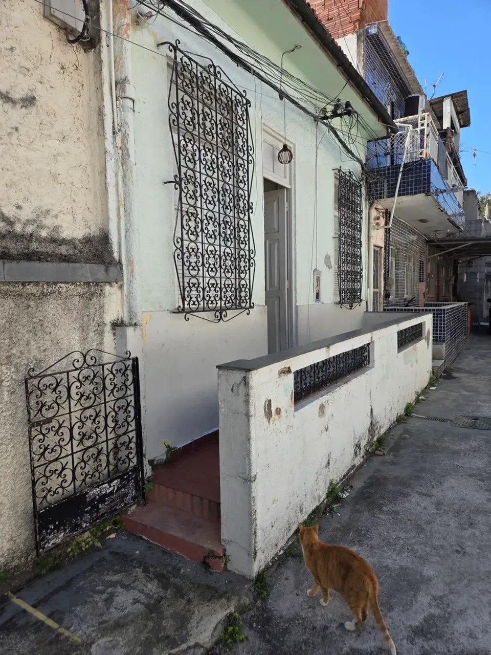 Casa de 2 quartos e 60 m² — photo 19