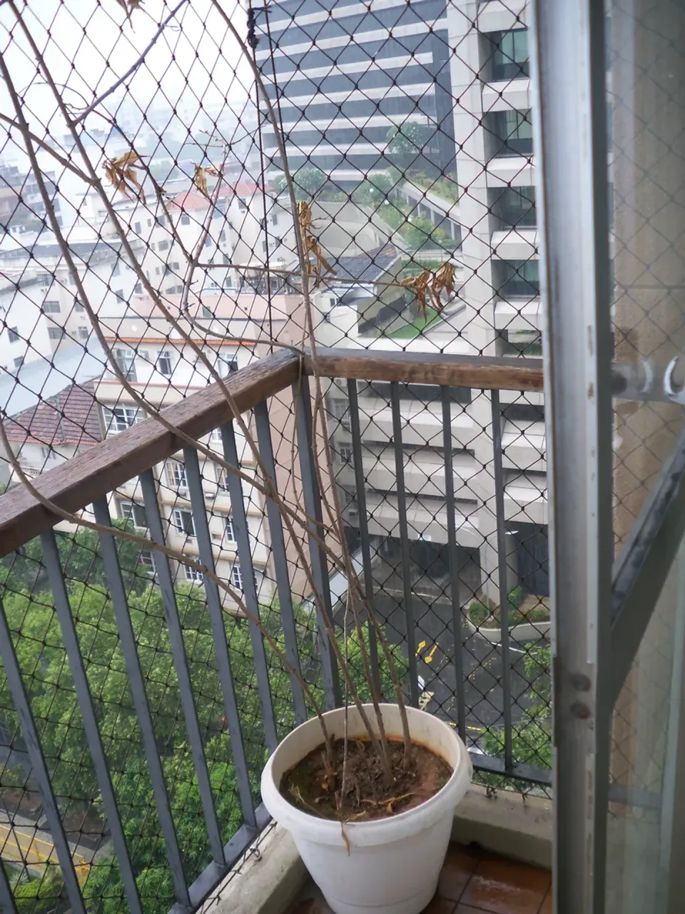 Apartamento com 3 quartos, 3 banheiros e 1 vaga — photo 17