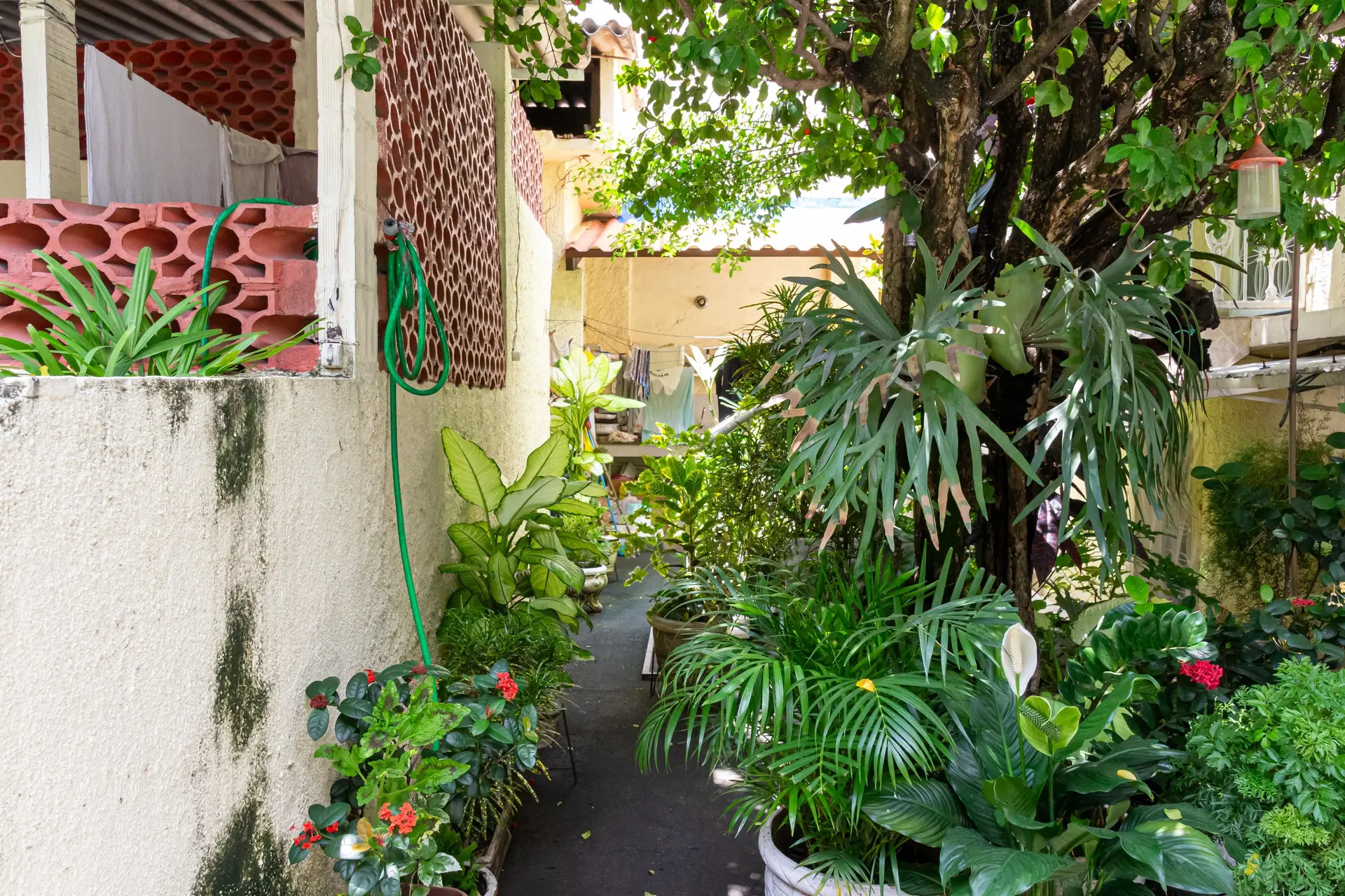Casa com 3 quartos, 3 banheiros e jardim privativo — photo 120