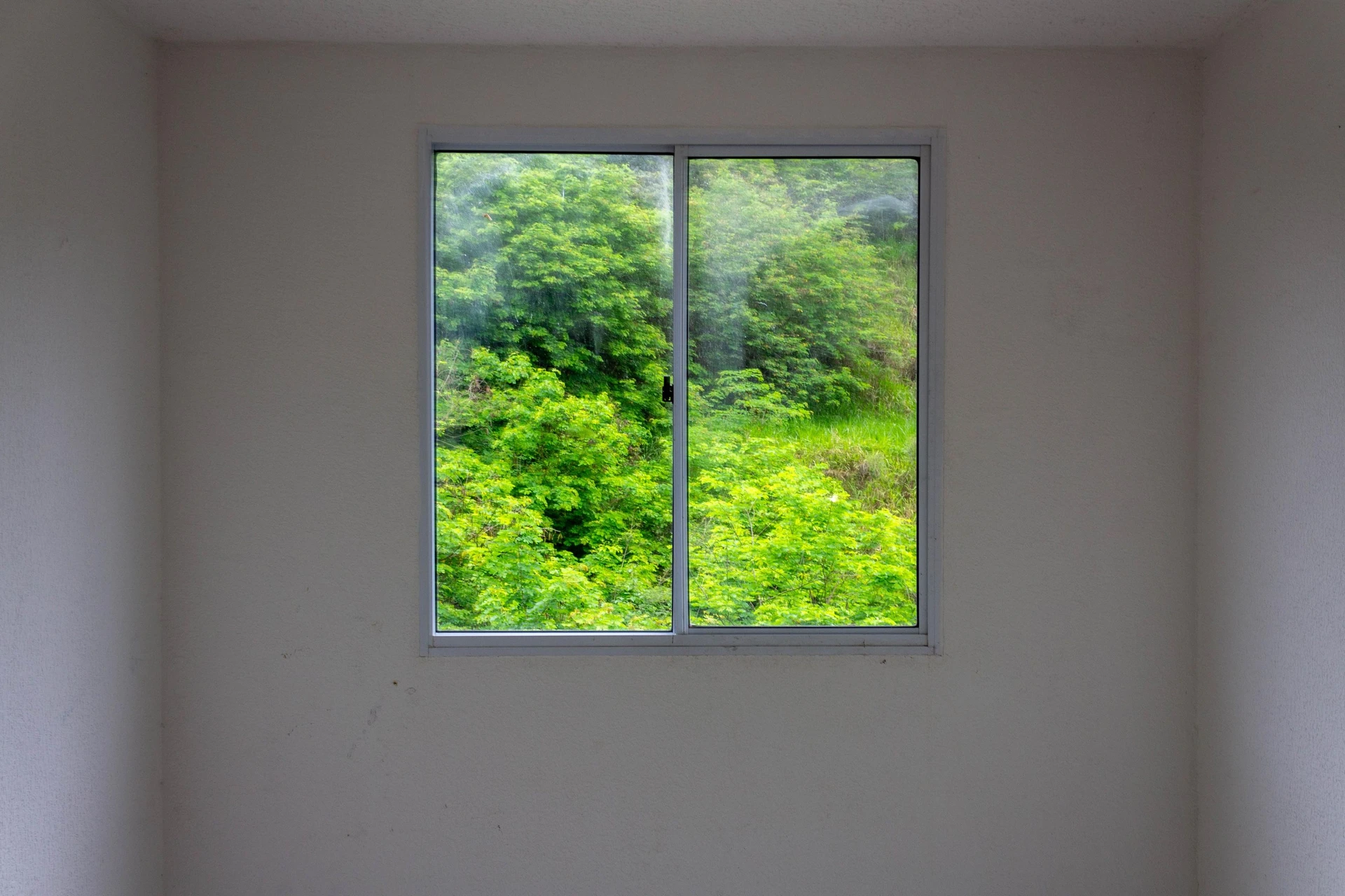 2-bedroom apartment with a park view